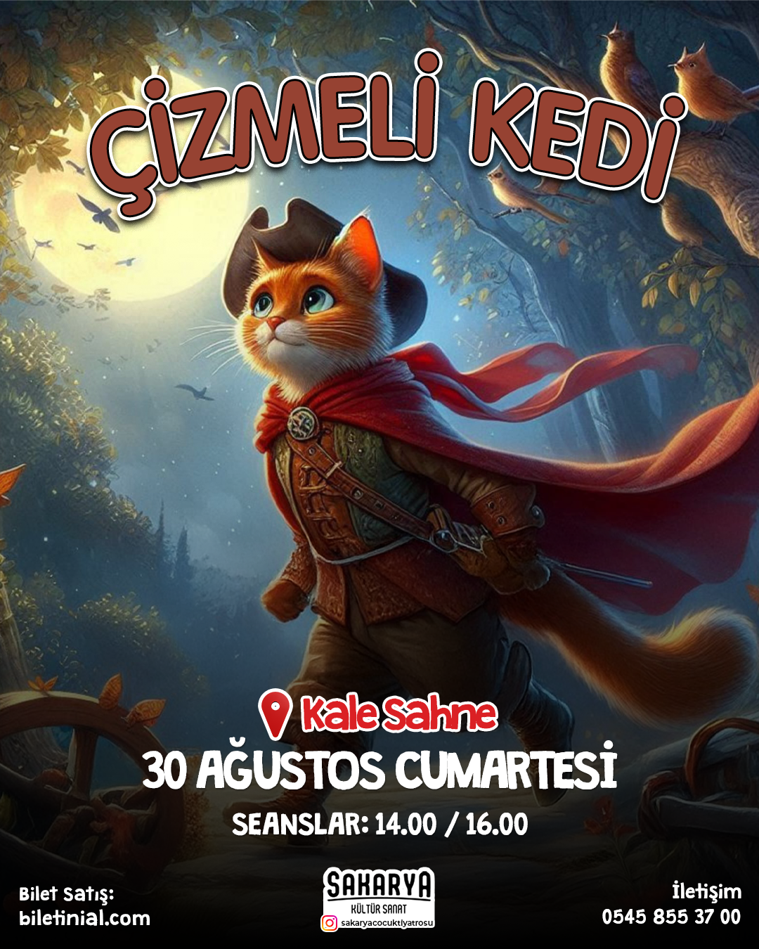 30 Ağustos Çizmeli Kedi Çocuk Tiyatrosu